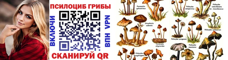 Галлюциногенные грибы мухоморы  Слюдянка 